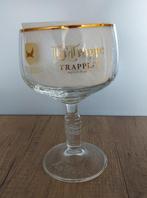 La Trappe - BREWDOG, Nieuw, Glas of Glazen, Ophalen of Verzenden, La Trappe