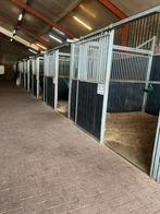 Boxen te huur € 250, Dieren en Toebehoren, Stalling en Weidegang, Stalling, 4 paarden of pony's of meer