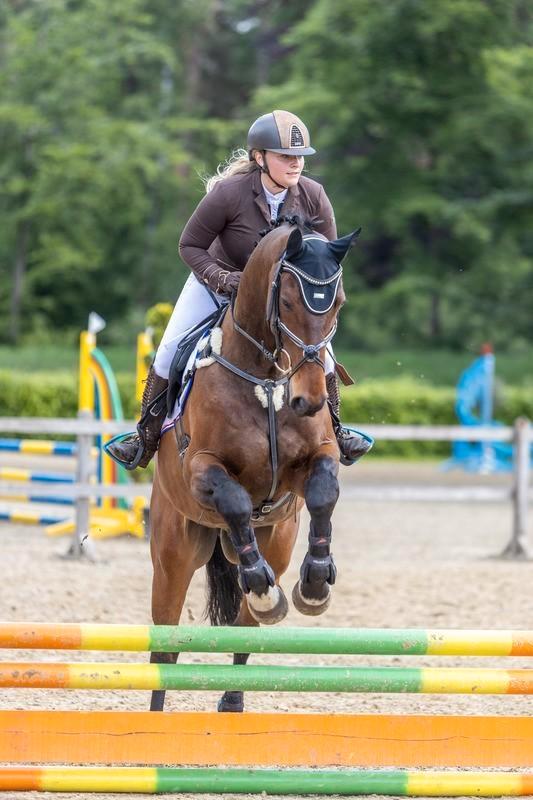 5-Punts Borsttuig maat Cob/Full, Dieren en Toebehoren, Paarden en Pony's | Hoofdstellen en Tuigage, Gebruikt, Springen, Ophalen of Verzenden