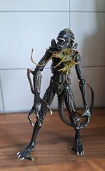 Neca Aliens Brown Xenomorph Warrior Battle Damaged Series 12, Ophalen of Verzenden, Zo goed als nieuw
