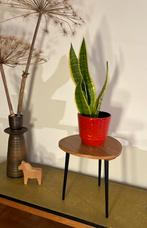 Plantentafel vintage retro, Ophalen of Verzenden, Zo goed als nieuw