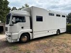 5 paards paardenwagen 2012 met living paarden vrachtwagen, Ophalen, Zo goed als nieuw, Aluminium, Overige typen