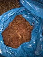 Alpaca wol., Meerdere dieren, Schaap