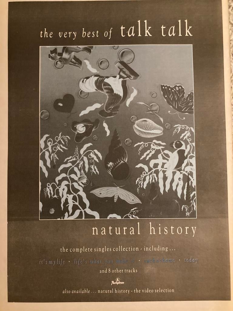 TALK TALK Natural History release A3 advertentie, Ophalen of Verzenden, Zo goed als nieuw