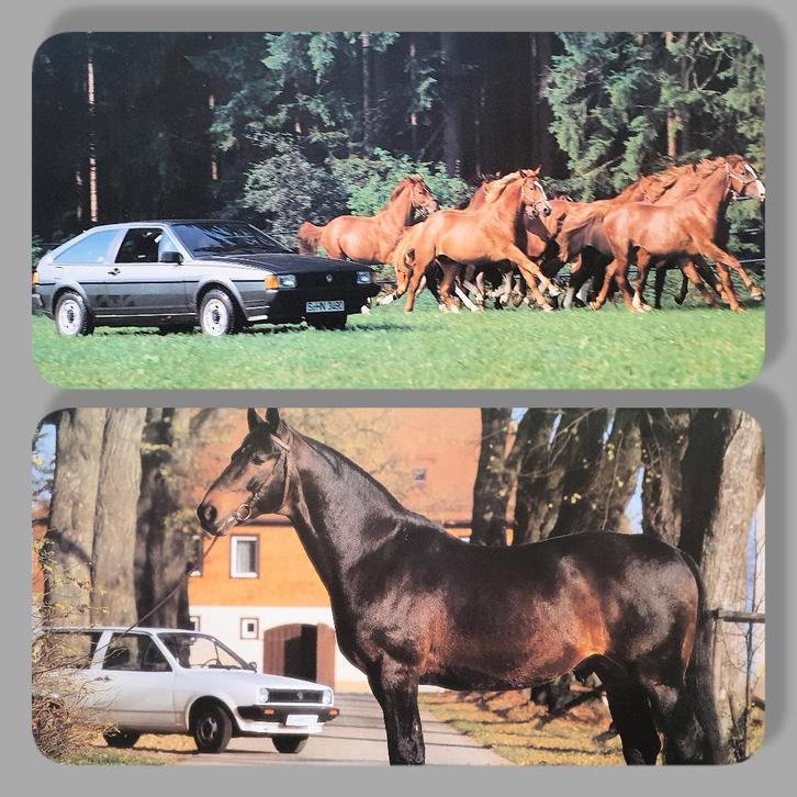 Poster VW "Pferdestärken" 70er jaren, Verzamelen, Posters, Zo goed als nieuw, Overige onderwerpen, A1 t/m A3, Rechthoekig Liggend