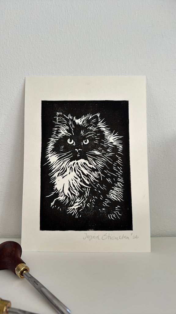 Lino snede afdruk van een prachtige poes., 2000 tot heden, Overige technieken, Ophalen of Verzenden, Flora en Fauna