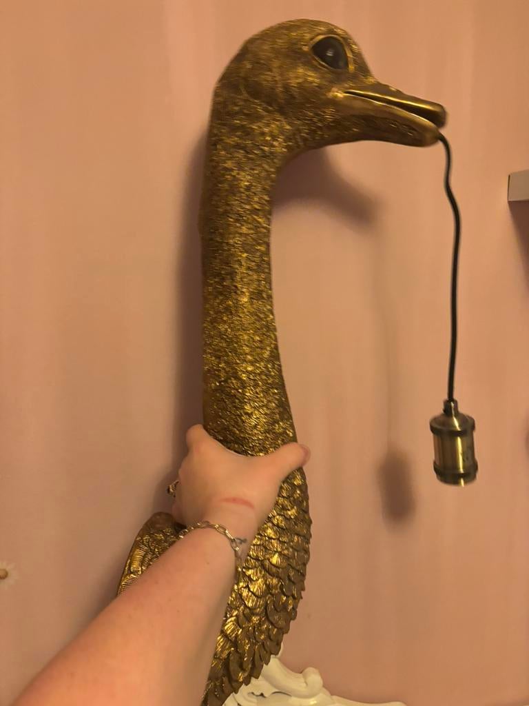 Wandlamp struisvogel, Ophalen