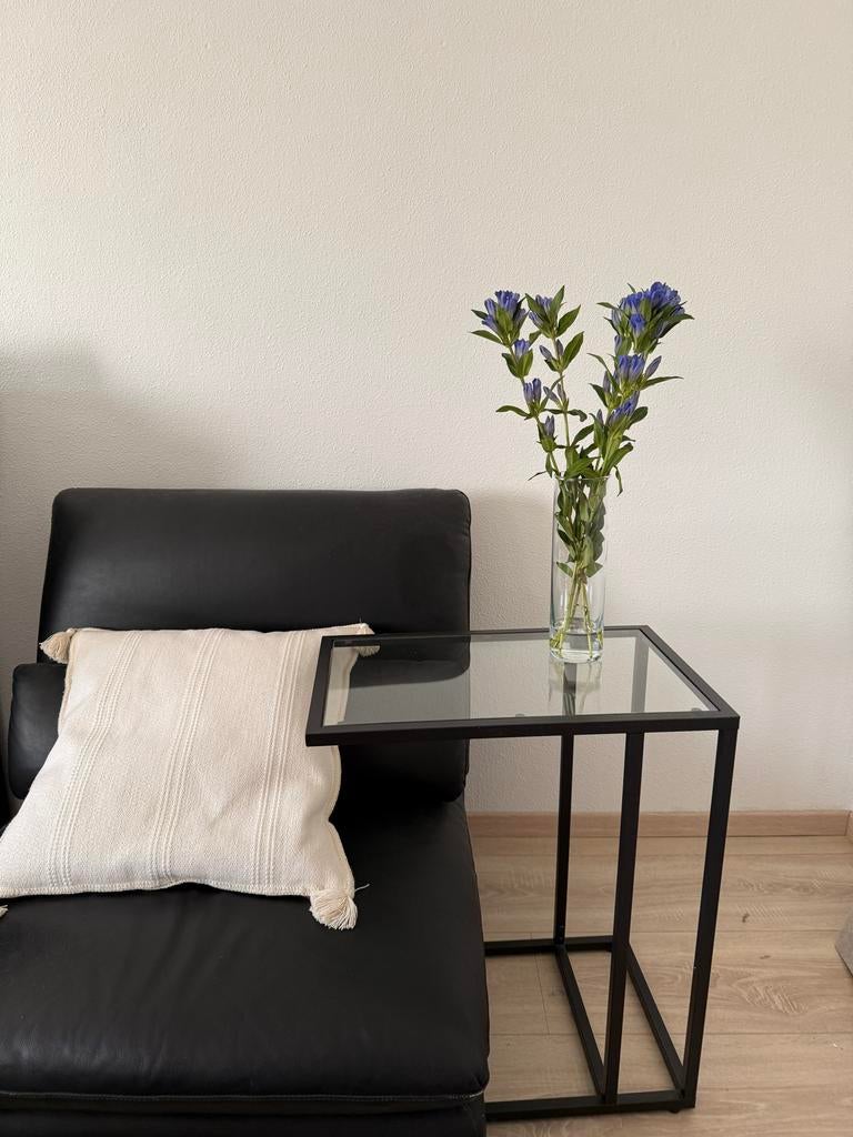 Ikea Vittsjo computertafel/bijzettafel, Ophalen, Minder dan 55 cm, Metaal of Aluminium, Zo goed als nieuw