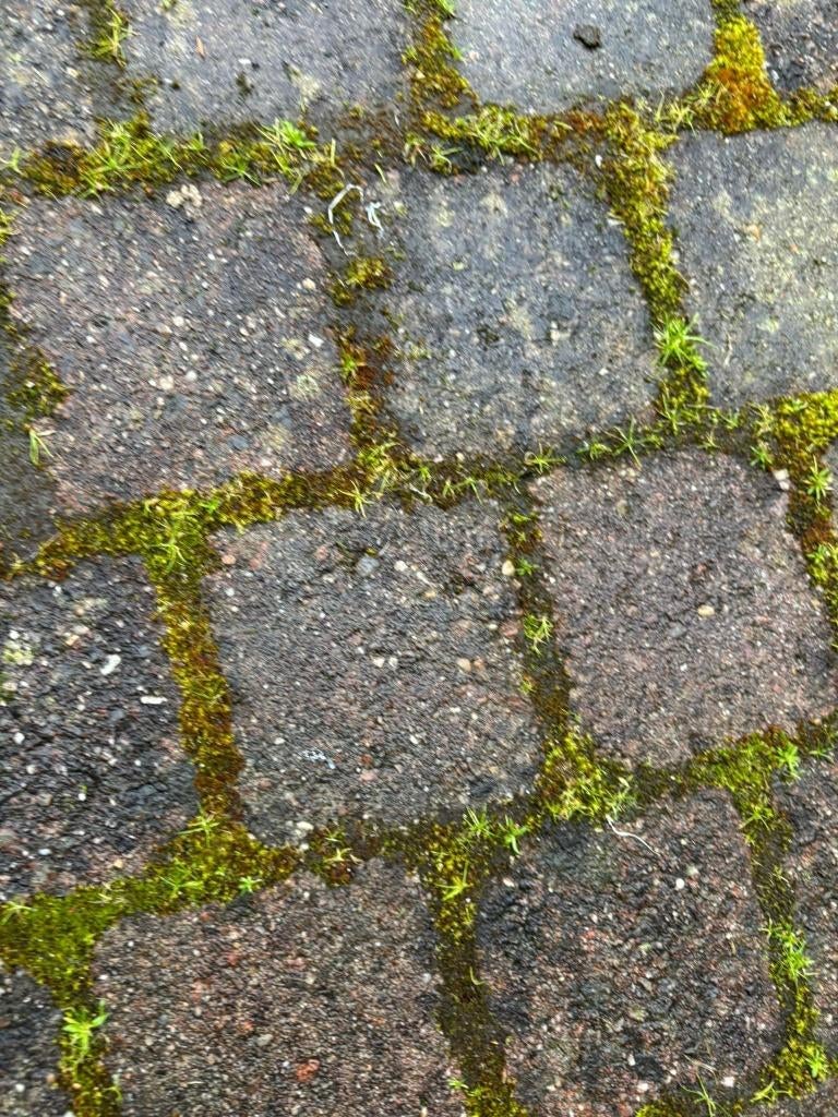 gratis cobblestones gemeleerd 52 meter gratis, Ophalen, Beton, Klinkers