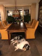 Leolux eetkamerstoelen, Ophalen of Verzenden, Zo goed als nieuw, 4 tot 6 stoelen