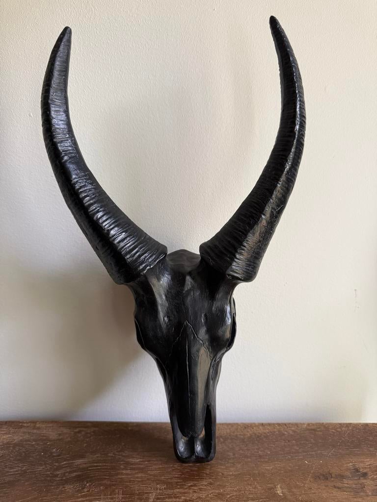 Decoratieve schedel met hoorns - Zwart, Antiek en Kunst, Ophalen, Overige materialen, Overige typen, Zoogdier