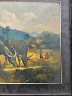 Schilderij olieverf met buffels en mensen Realism, Nature,, Ophalen of Verzenden