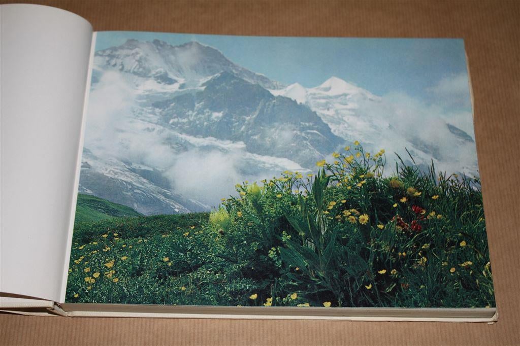 Souvenir book of Switzerland. Prachtig fotoboek., Ophalen of Verzenden, Gelezen, Europa