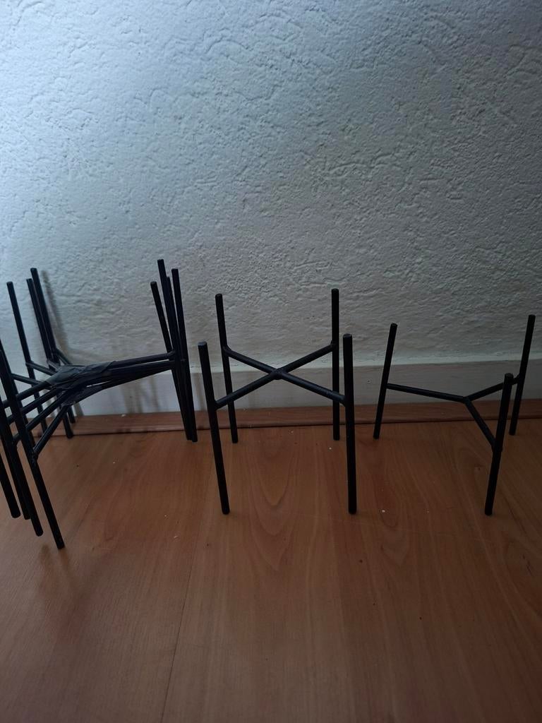 6 planten standaard drie verschillende maten, Ophalen of Verzenden