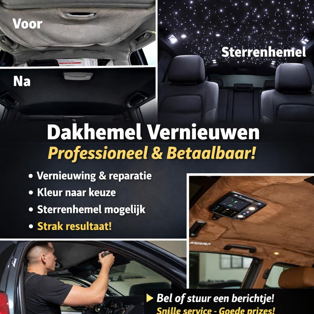 Dakhemel vernieuwen – Professioneel & Betaalbaar, Ophalen of Verzenden, Nieuw