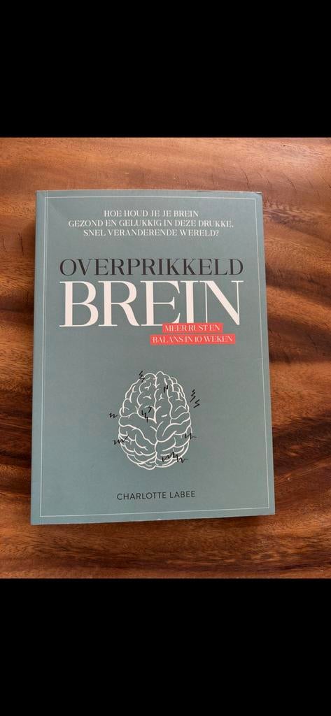 Boek charlotte labee, Ophalen of Verzenden, Zo goed als nieuw