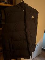 Addidas jacket, Ophalen of Verzenden