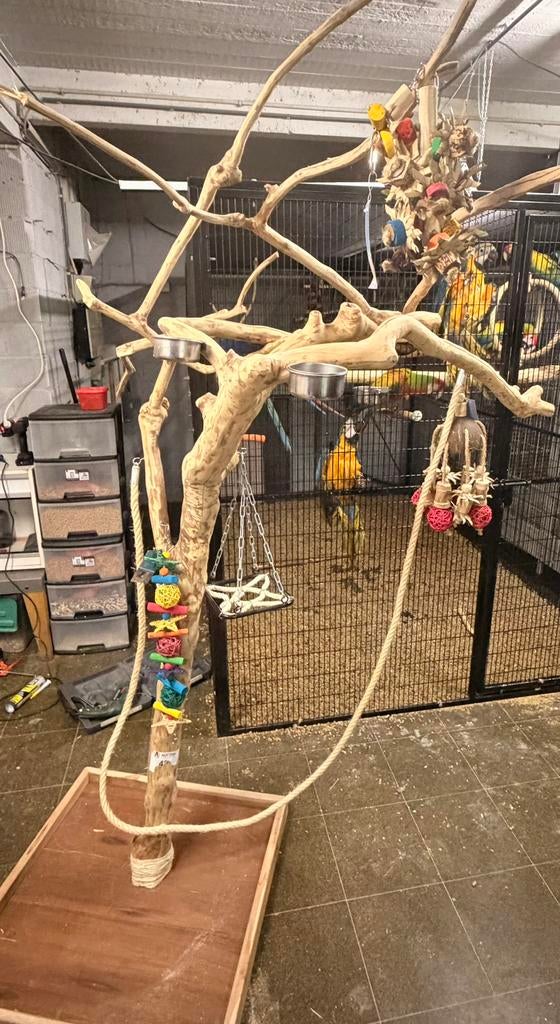 Java boom ara, Dieren en Toebehoren, Vogels | Toebehoren, Ophalen, Zo goed als nieuw, Speelgoed