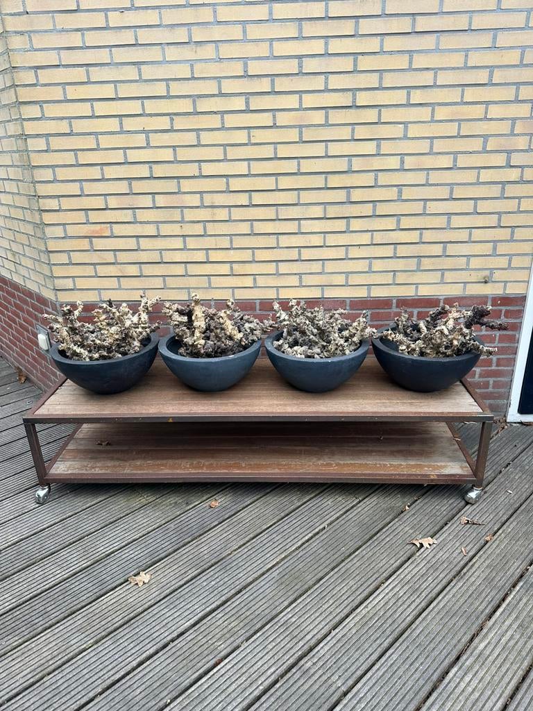 Salontafel, Ophalen, Zo goed als nieuw, Rechthoekig, 75 cm of meer