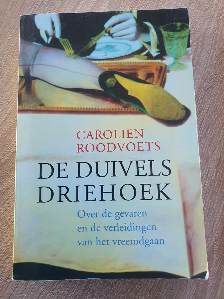 De Duivels Driehoek - Carolien Roodvoets (Boek), Boeken, Psychologie, Gelezen, Ophalen of Verzenden