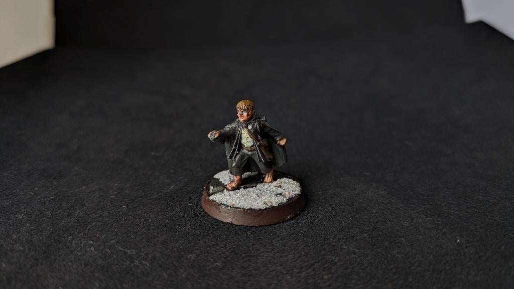 Sam (Fellowship), Hobby en Vrije tijd, Wargaming, Ophalen of Verzenden, Lord of the Rings