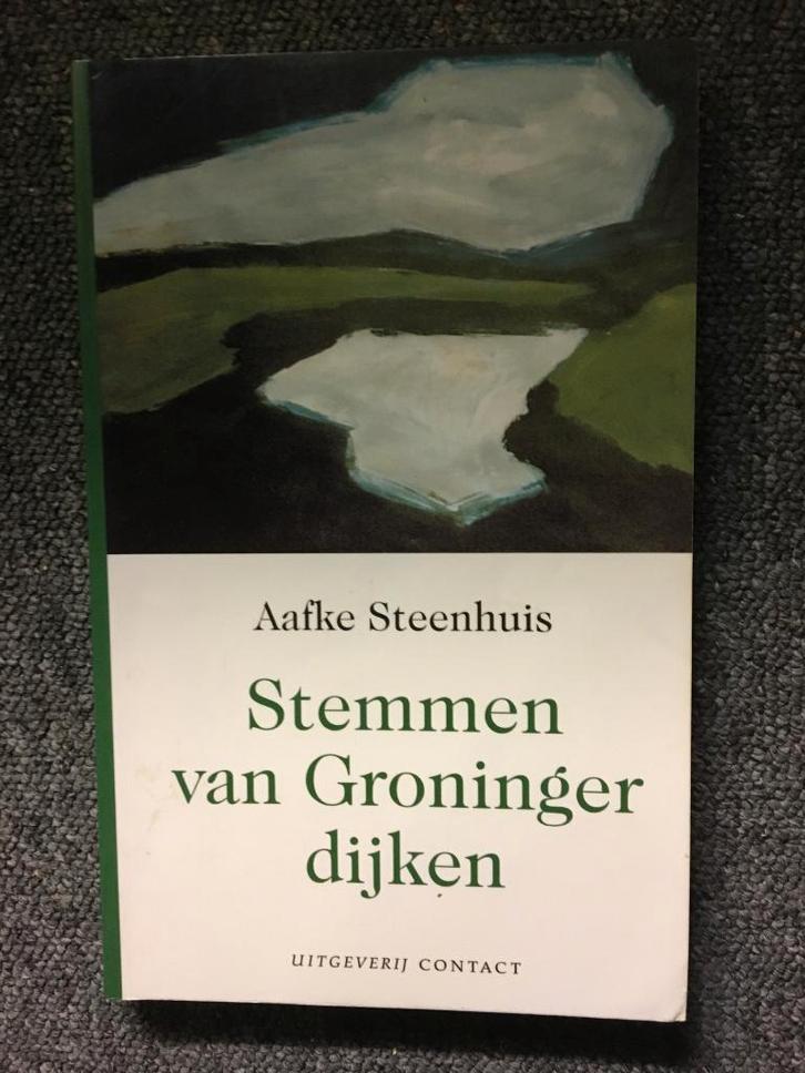 Stemmen van Groninger dijken ; door Aafke Steenhuis, Boeken, Geschiedenis | Stad en Regio, Zo goed als nieuw, 20e eeuw of later