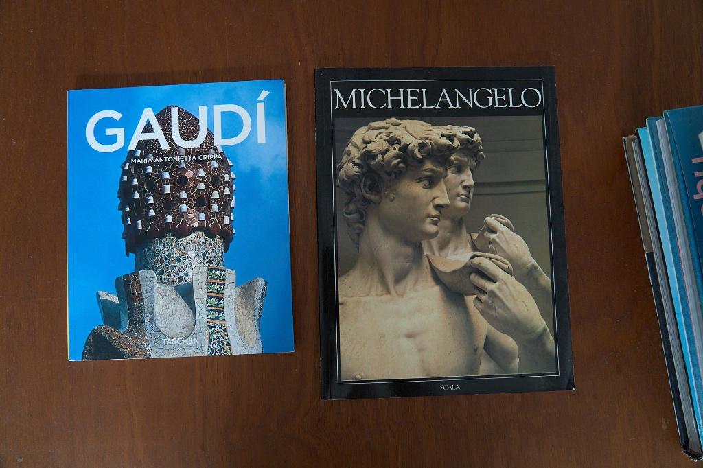 Boek Gaudi, Ophalen of Verzenden, Zo goed als nieuw, Overige onderwerpen