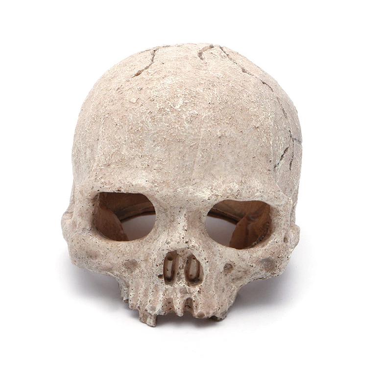 Doodskop Aquarium Ornament / Decoratie Skull Sier Schedel, Verzenden, Nieuw