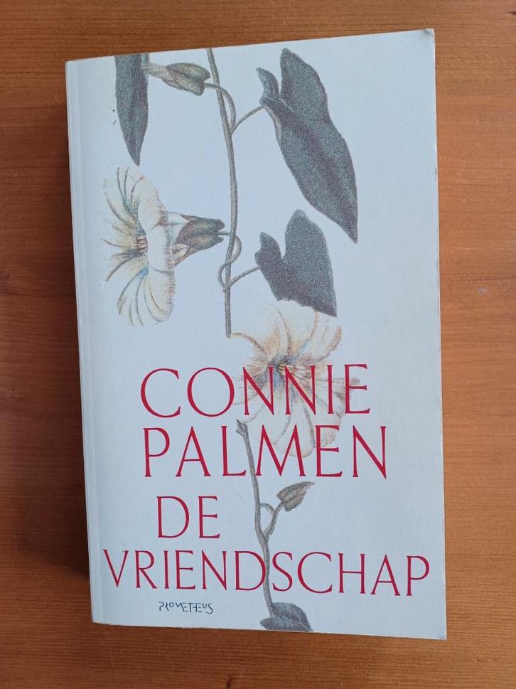 De vriendschap, Boeken, Literatuur, Gelezen, Nederland, Ophalen of Verzenden