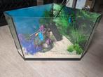 Leuk klein hoek aquarium, Dieren en Toebehoren, Vissen | Aquaria en Toebehoren, Ophalen, Leeg aquarium