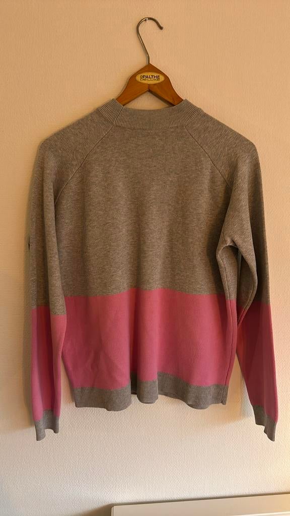 Envii trui roze/grijs maat M - perfect, Kleding | Dames, Ophalen of Verzenden, Gedragen, Maat 38/40 (M), Roze