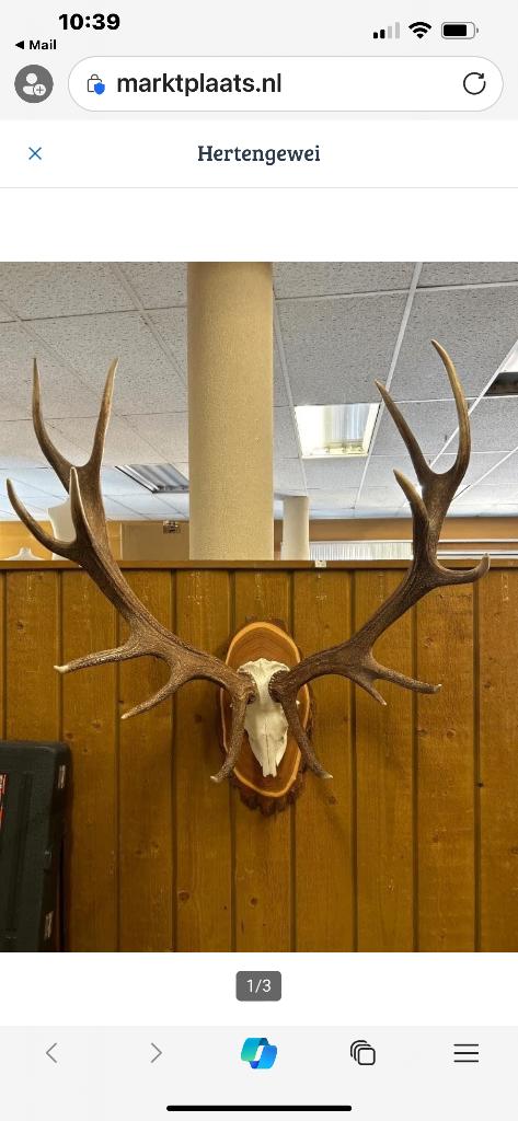 Hertengewei, Ophalen, Gebruikt, Hert, Beeldje of Figuurtje