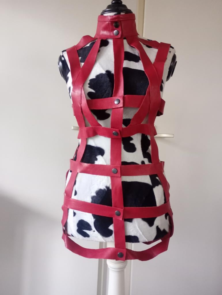 Kinky lederen jurkje met 38, Zo goed als nieuw, Boven de knie, Rood, Ophalen