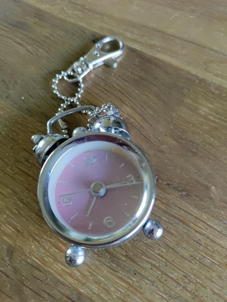 Vintage Zakhorloge - Uniek en Charmant!, Sieraden, Tassen en Uiterlijk, Horloges | Dames, Overige merken, Staal, Zakhorloge, Gebruikt
