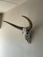 Decoratieve Koeien Doodskop (Nep), Huis en Inrichting, Woonaccessoires | Overige, Ophalen, Gebruikt