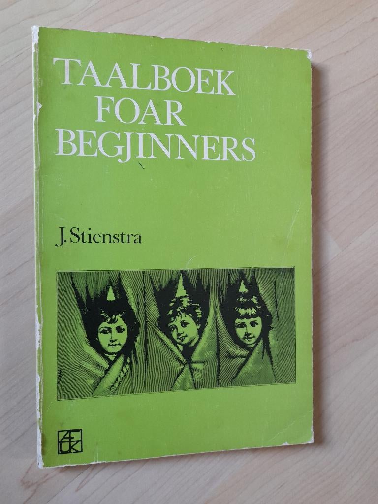 TAALBOEK FOAR BEGJINNERS  J Stienstra, Ophalen of Verzenden, Gelezen