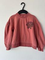 Z8 trui maat 116/122, Kinderen en Baby's, Kinderkleding | Maat 116, Ophalen of Verzenden, Gebruikt, Meisje, Trui of Vest