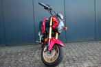 Honda Tour MSX 125|Honda Grom| NIEUWSTAAT |, Hoofdstraat 5
5958 am  amsterdam, NL, Honda, Bedrijf, 125 cc