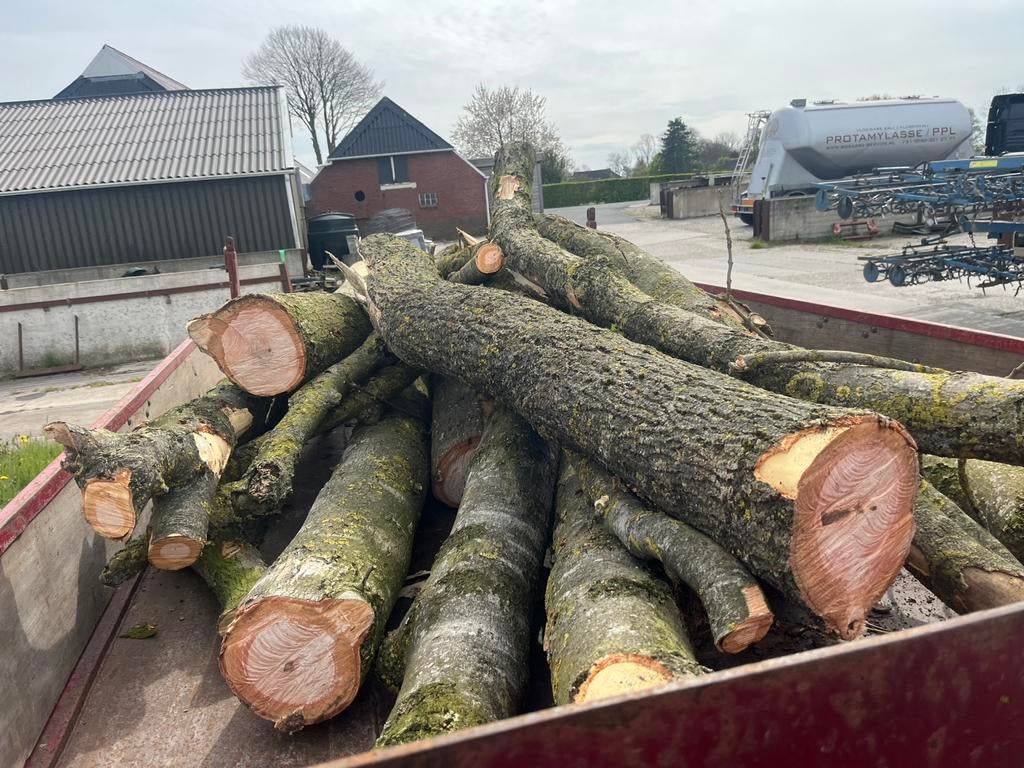 Brandhout, Tuin en Terras, Minder dan 3 m³, Ophalen of Verzenden