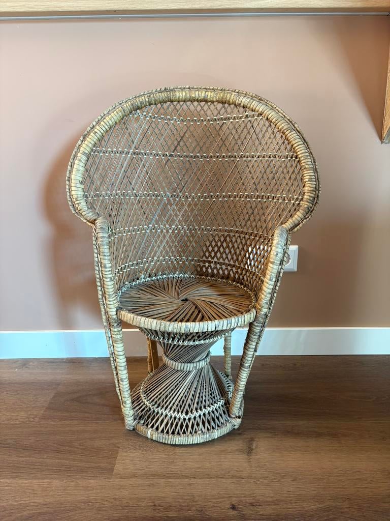 Prachtige pauwenstoeltjes, Kinderen en Baby's, Kinderkamer | Tafels en Stoelen, Ophalen, Zo goed als nieuw, Stoel(en)