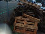Gratis af te halen pallets, Ophalen of Verzenden, Overige houtsoorten, 300 cm of meer, Pallet