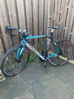 Pinarello race fiets, Ophalen, Zo goed als nieuw, Meer dan 20 versnellingen, Overige merken