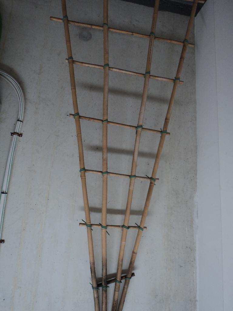 klimrek voor planten, Tuin en Terras, Ophalen, Gebruikt, Overige materialen, Sierhekwerk