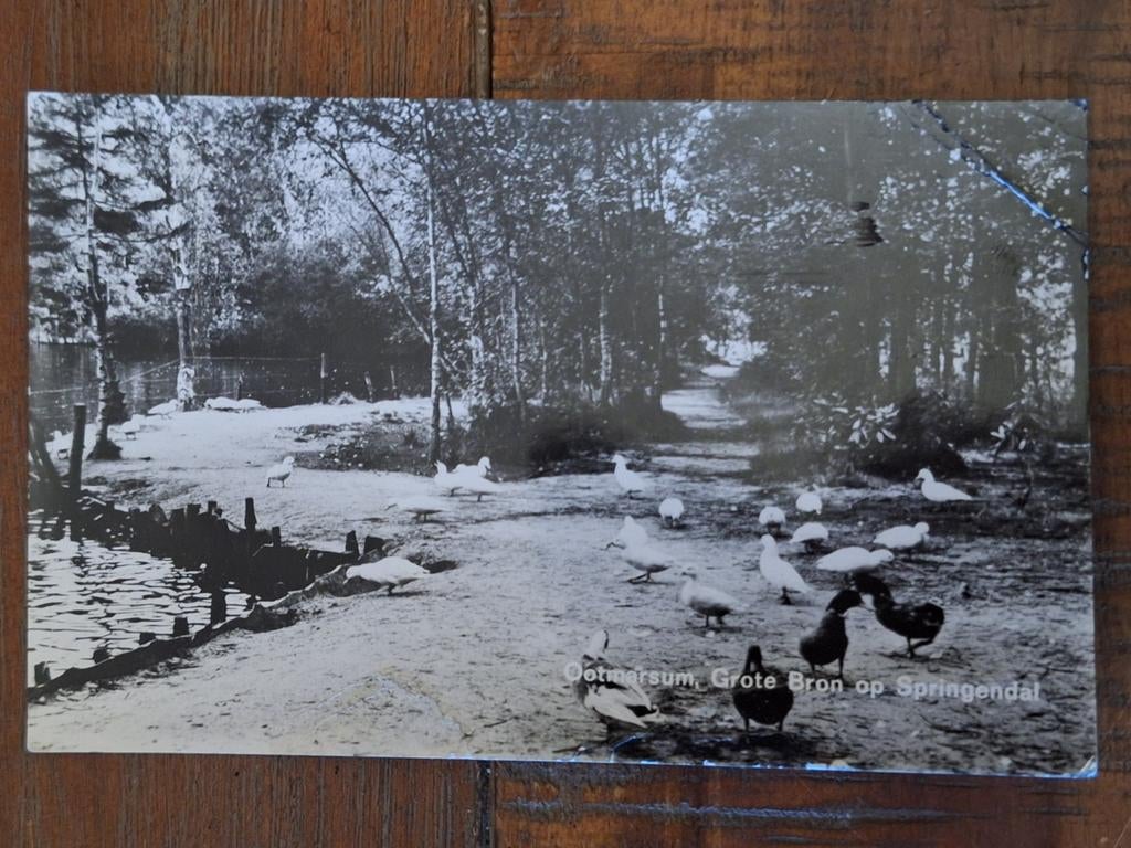 Fotokaart Ootmarsum - Grote bron op Springendal, Ophalen of Verzenden, Gelopen, Overijssel