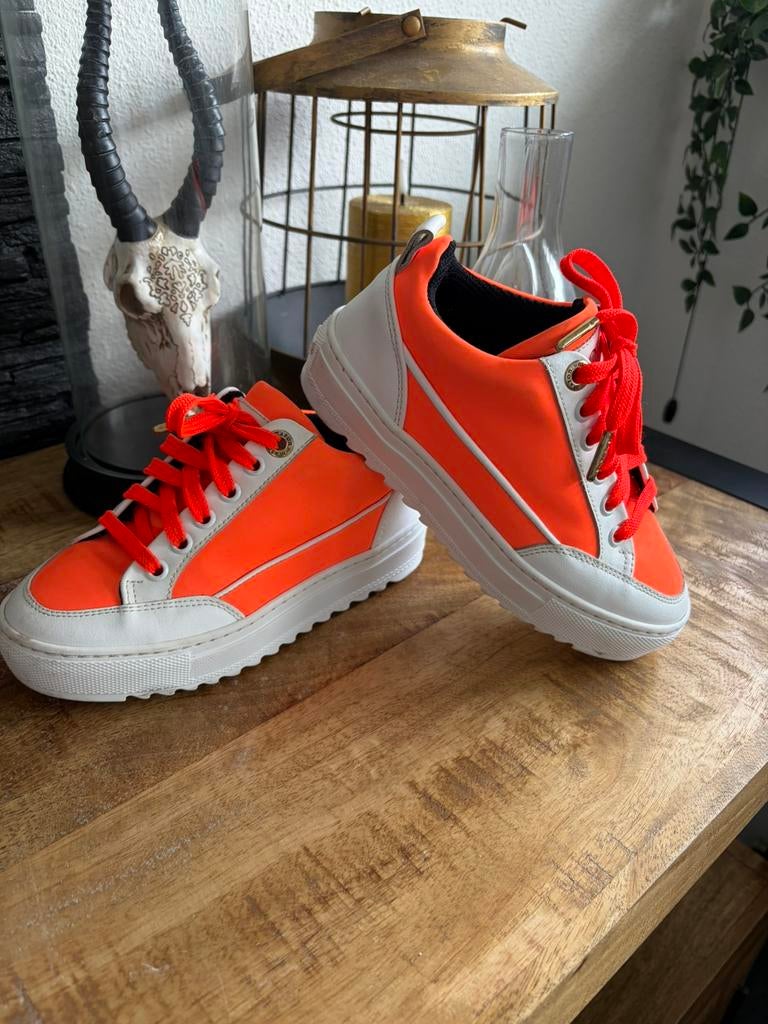 Mason garments neon oranje. ZGAN! Size 31, Kinderen en Baby's, Kinderkleding | Schoenen en Sokken, Jongen of Meisje, Schoenen
