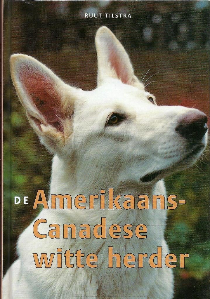 DE AMERIKAANS - CANADESE WITTE HERDER HOND, Ophalen of Verzenden, Nieuw, Honden, Kuurt Tilstra