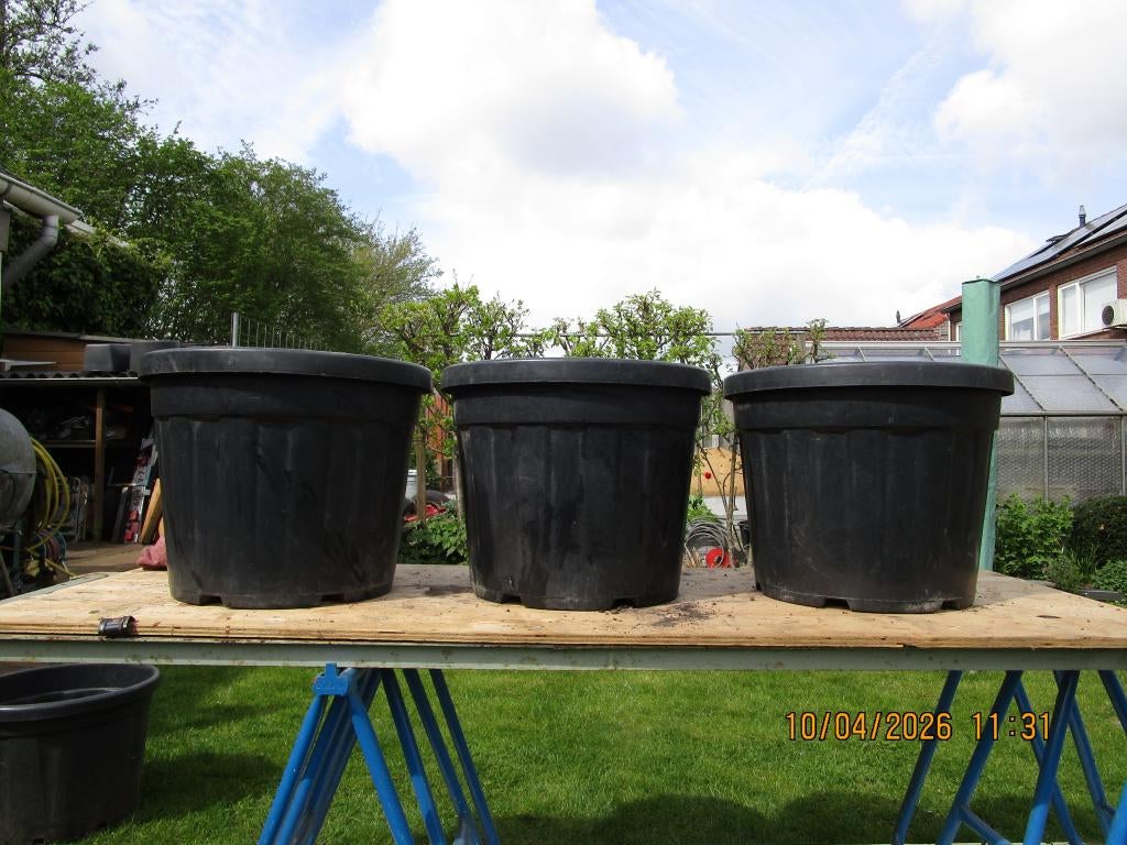 3 grote kunststof bloempotten, Tuin en Terras, Ophalen, Kunststof, 40 cm of meer, Rond