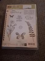 Stampin' Up! Butterfly Basics Clearstampset, Ophalen of Verzenden, Clearstamp