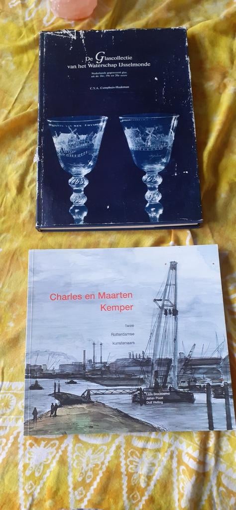 BOEKEN ROTTERDAM, Ophalen of Verzenden, Gelezen