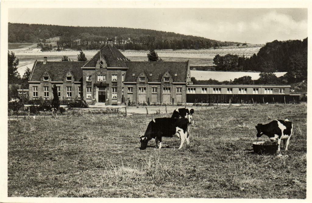 Jeugdherberg t Heemst - Vaals - ongelopen, Verzamelen, Ansichtkaarten | Nederland, Ophalen of Verzenden, Voor 1920, Ongelopen